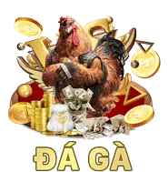 Giấy phép và quy định hoạt động